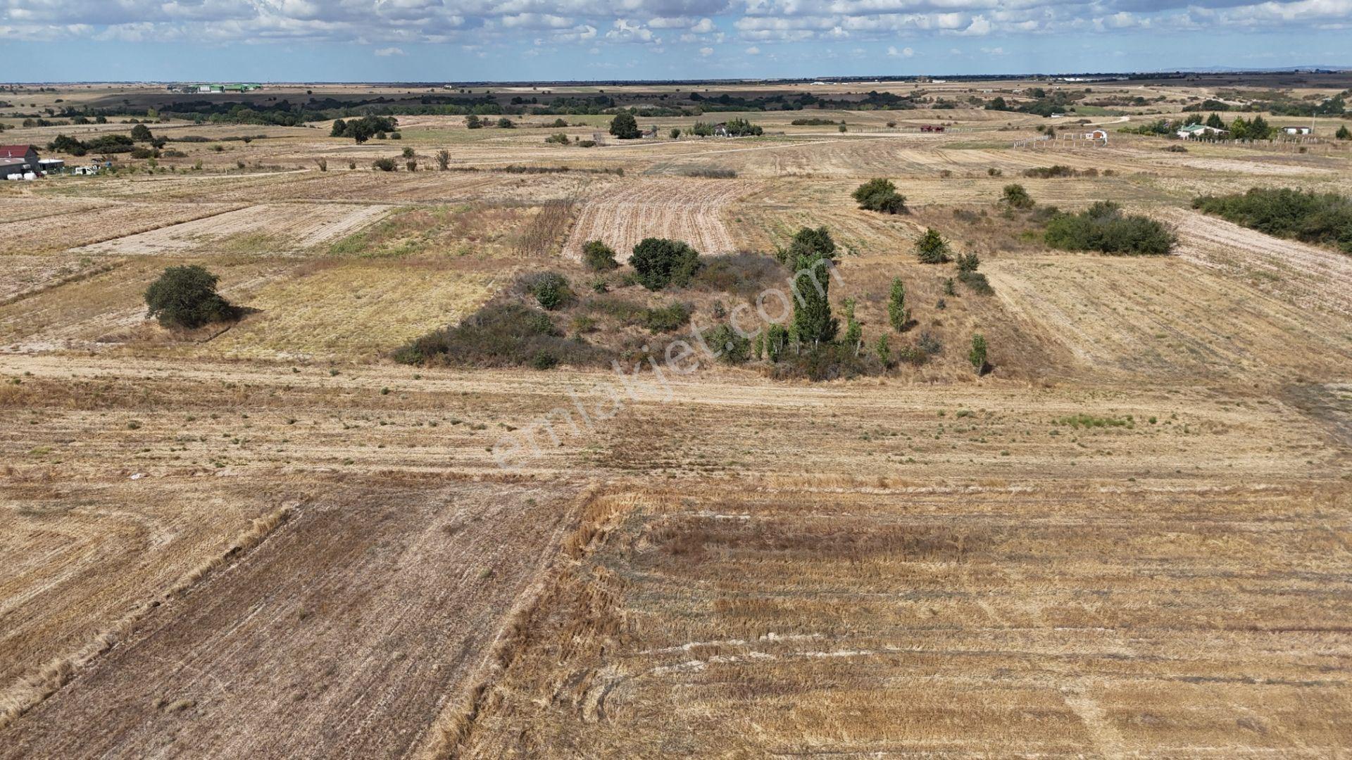 Kırklareli Kavakdere’de Köye Yakın 1.225 M² Satılık Bağyeri — fotoğraf 4
