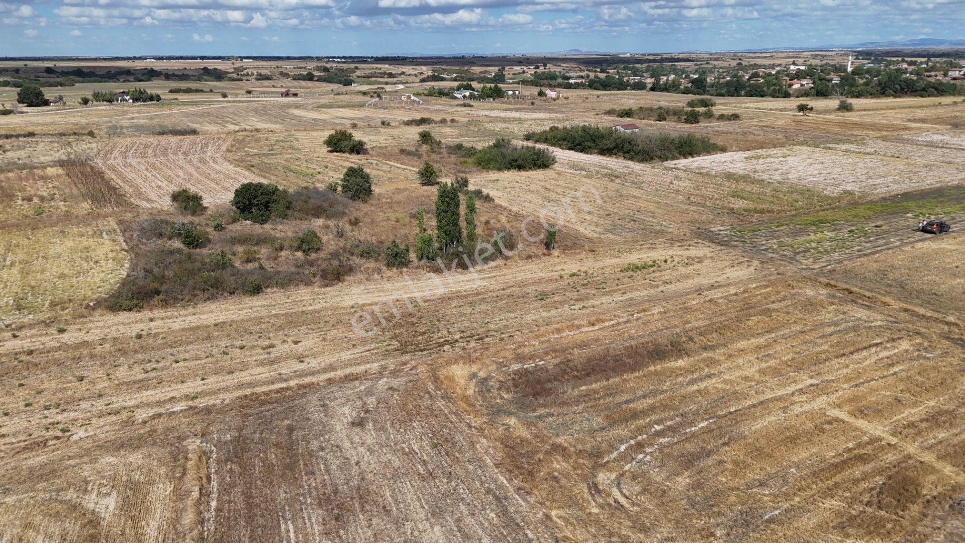 Kırklareli Kavakdere’de Köye Yakın 1.225 M² Satılık Bağyeri — fotoğraf 5