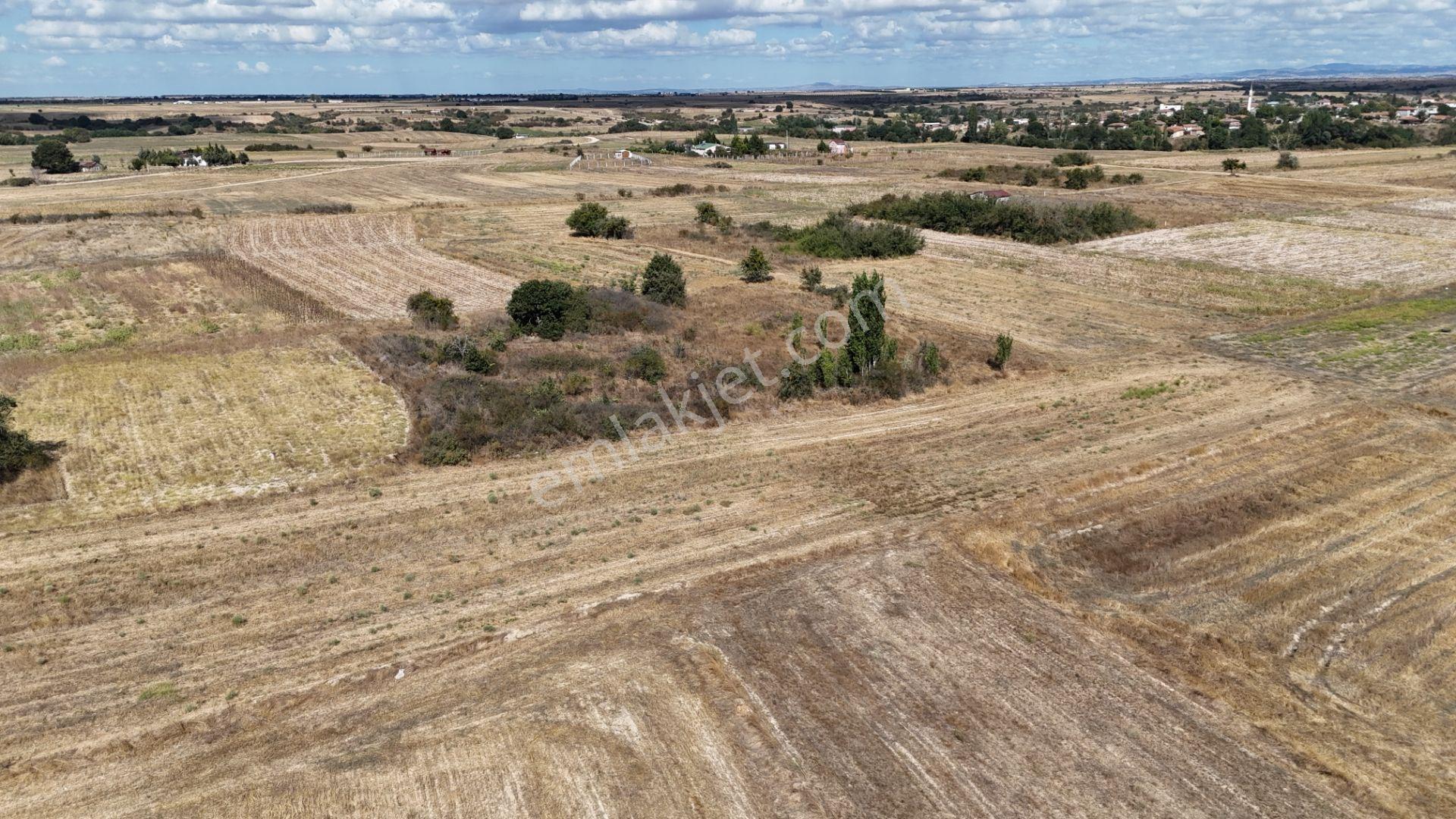 Kırklareli Kavakdere’de Köye Yakın 1.225 M² Satılık Bağyeri — fotoğraf 6