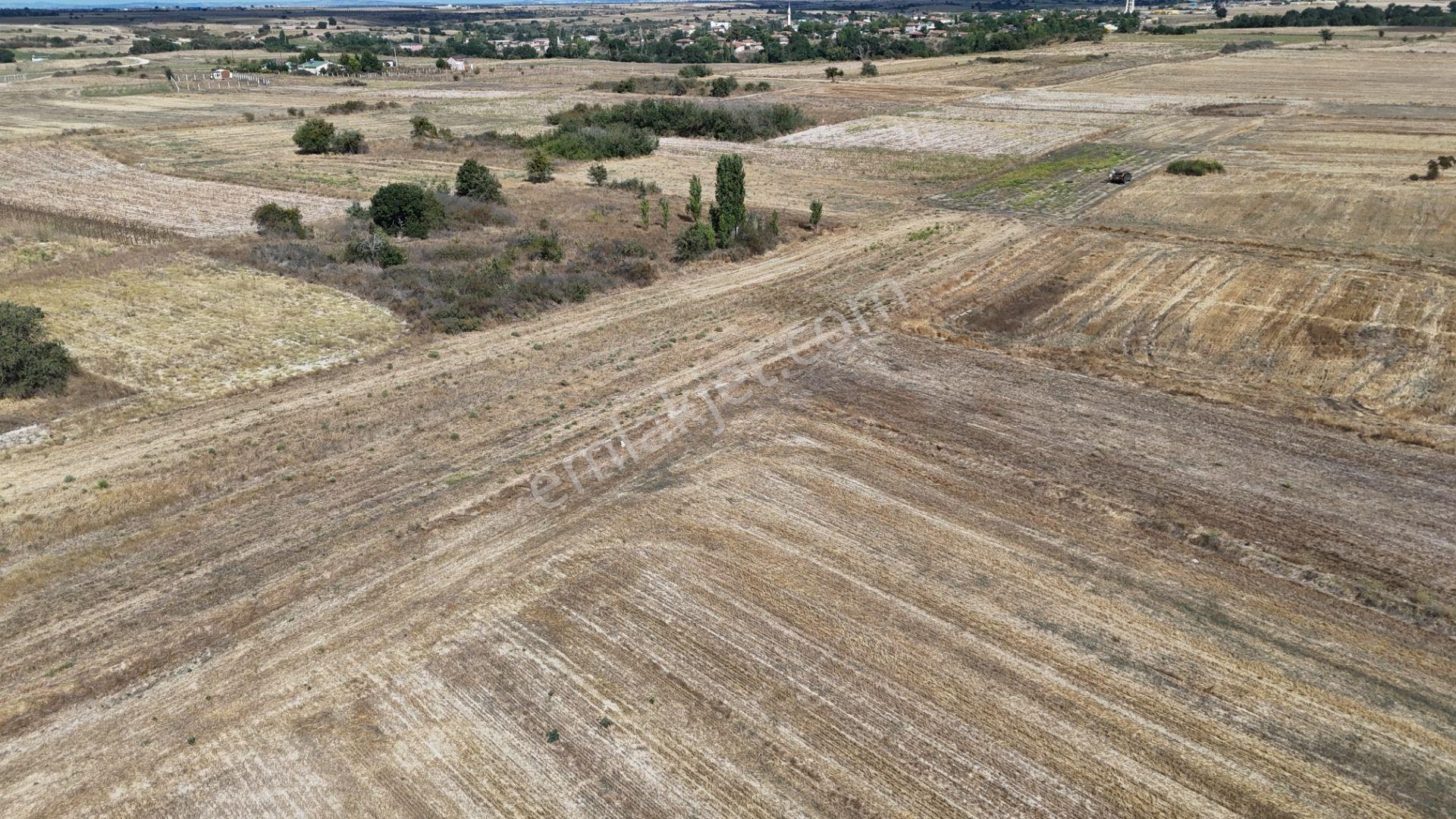 Kırklareli Kavakdere’de Köye Yakın 1.225 M² Satılık Bağyeri — fotoğraf 8
