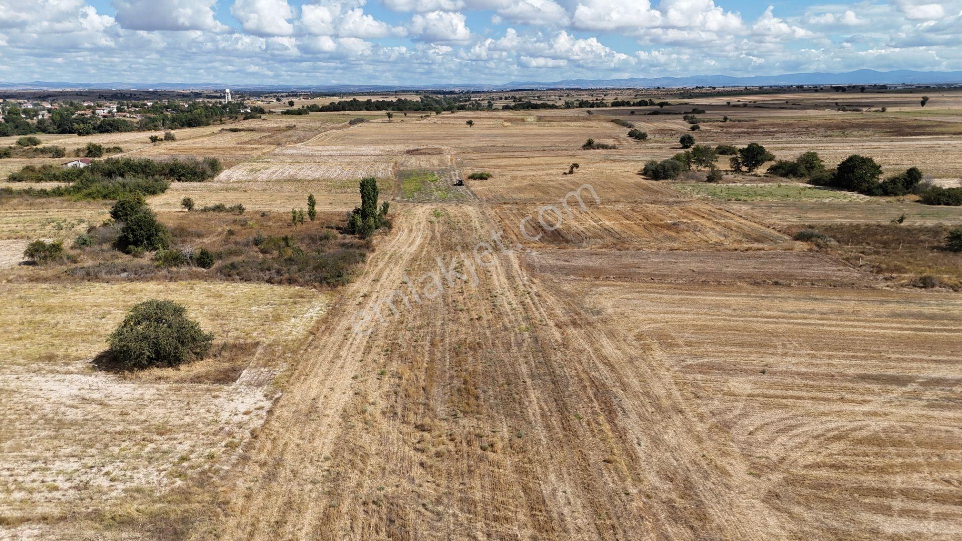 Kırklareli Kavakdere’de Köye Yakın 1.225 M² Satılık Bağyeri — fotoğraf 12