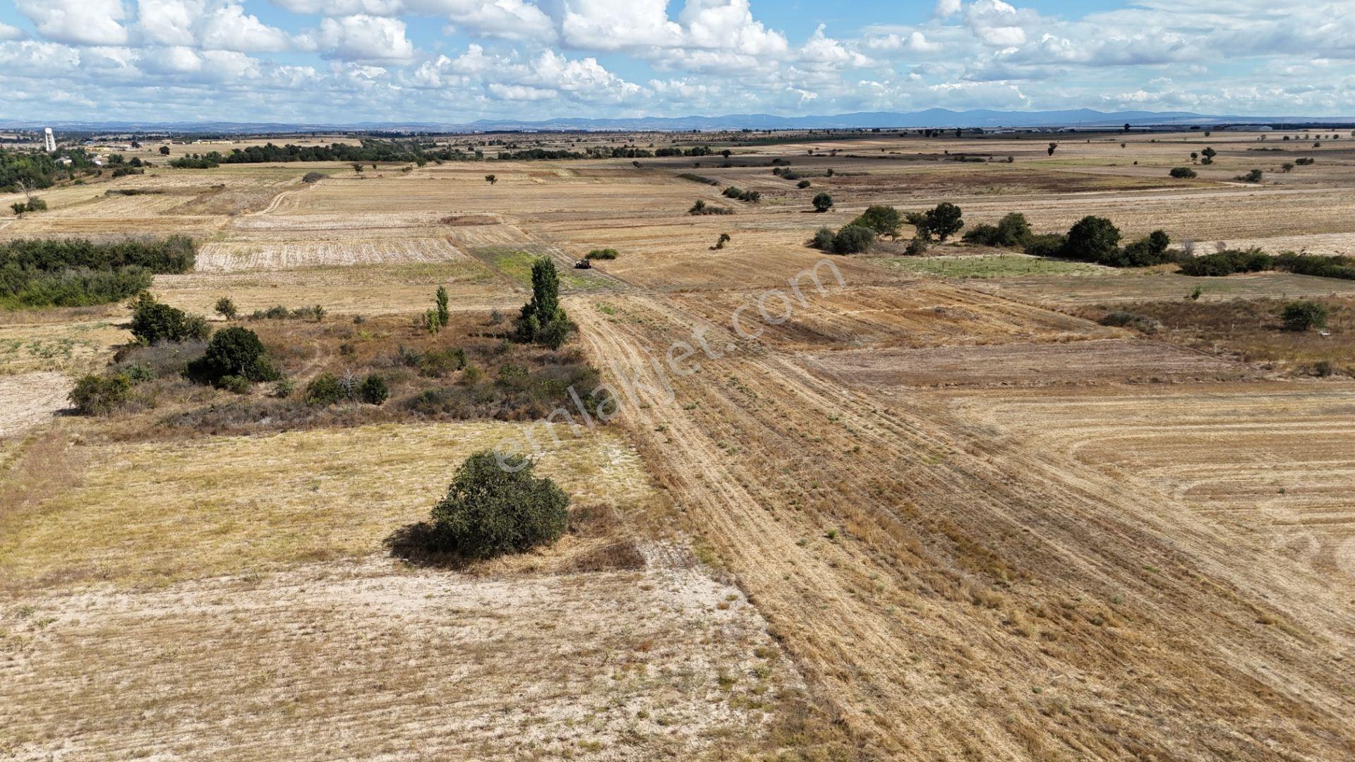 Kırklareli Kavakdere’de Köye Yakın 1.225 M² Satılık Bağyeri — fotoğraf 14
