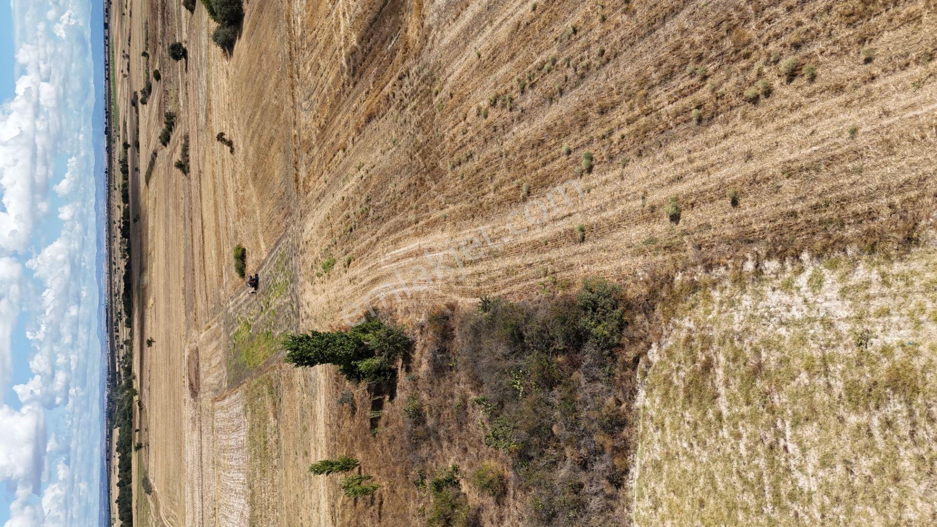 Kırklareli Kavakdere’de Köye Yakın 1.225 M² Satılık Bağyeri — fotoğraf 16