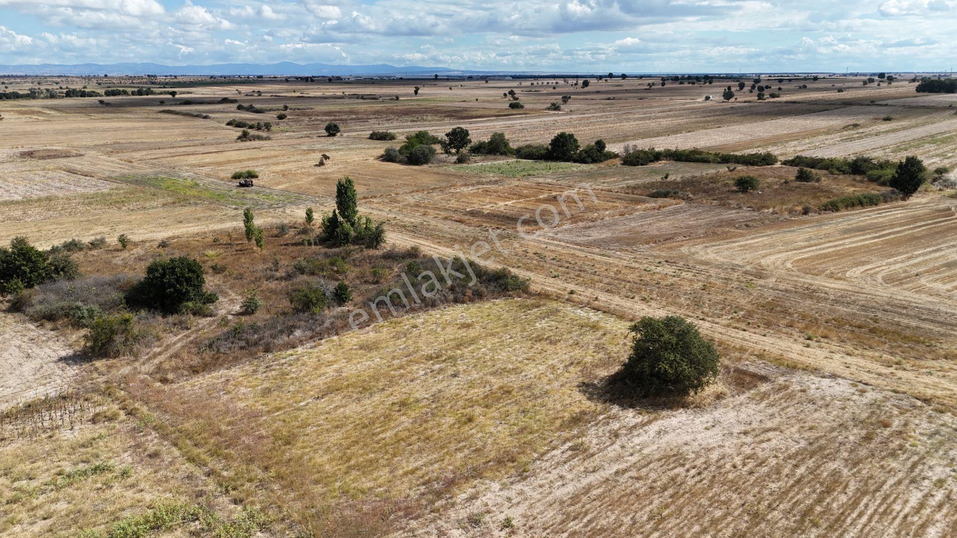 Kırklareli Kavakdere’de Köye Yakın 1.225 M² Satılık Bağyeri — fotoğraf 18