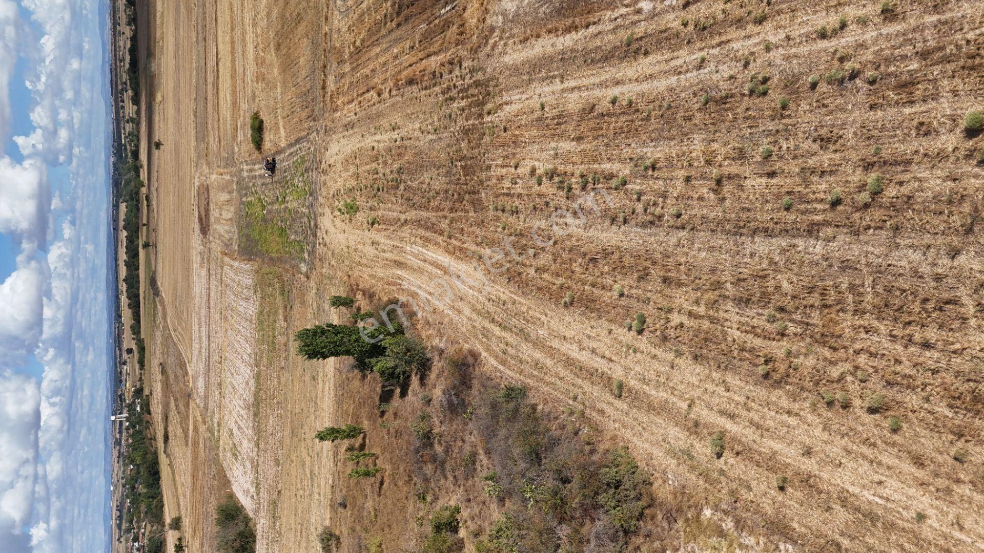 Kırklareli Kavakdere’de Köye Yakın 1.225 M² Satılık Bağyeri — fotoğraf 19