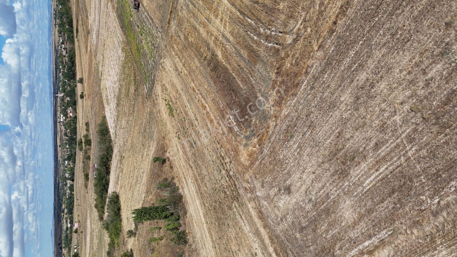 Kırklareli Kavakdere’de Köye Yakın 1.225 M² Satılık Bağyeri — fotoğraf 21
