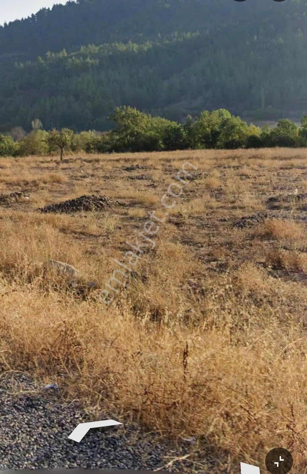 Balıkesir Bigadiç Yağcılar Da Asfalt Yol Kenarı Satılık Tarla — fotoğraf 4