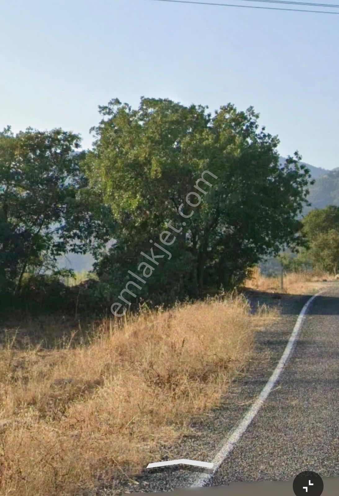 Balıkesir Bigadiç Yağcılar Da Asfalt Yol Kenarı Satılık Tarla — fotoğraf 6
