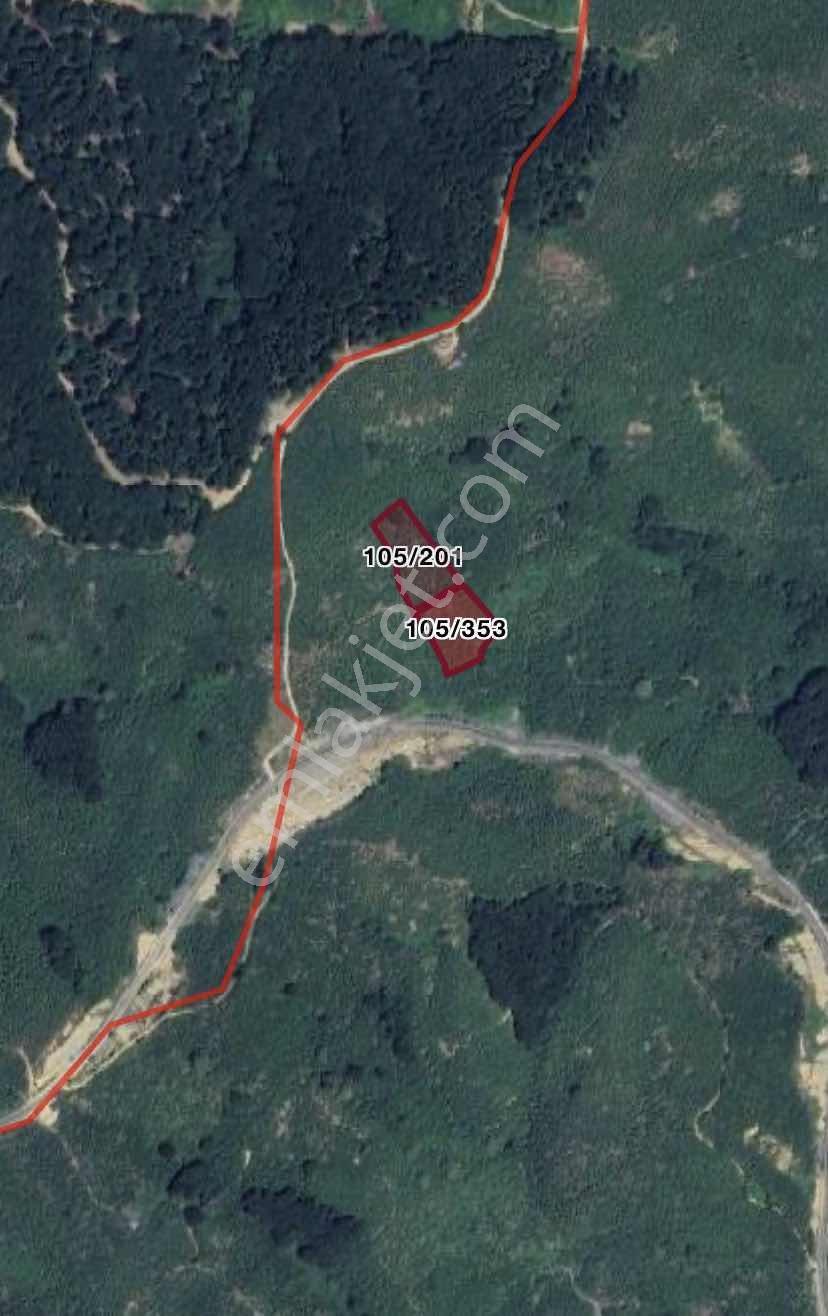 Kocaali Aydoğan Köyü Satılık 6655 M² Verimli Fındık Bahçesi — fotoğraf 2