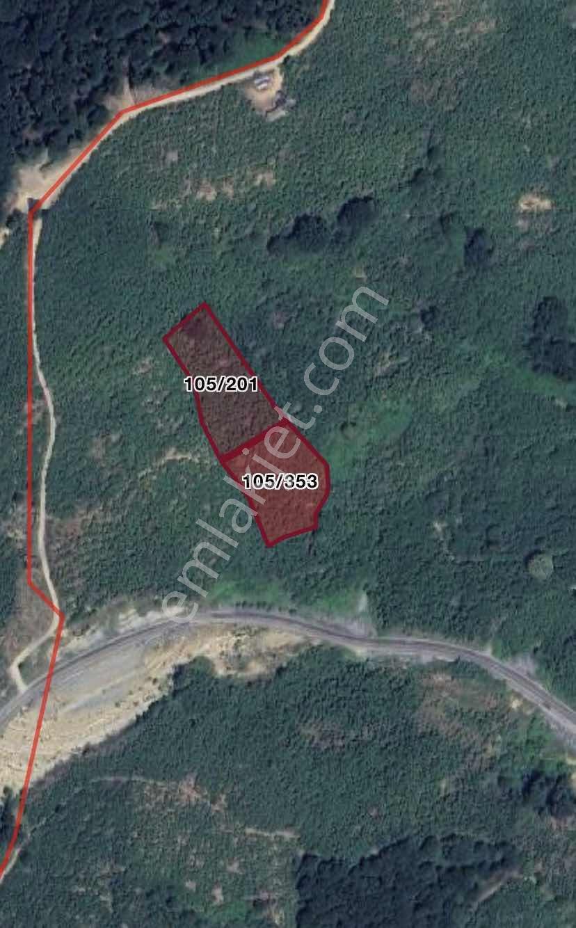 Kocaali Aydoğan Köyü Satılık 6655 M² Verimli Fındık Bahçesi — fotoğraf 3