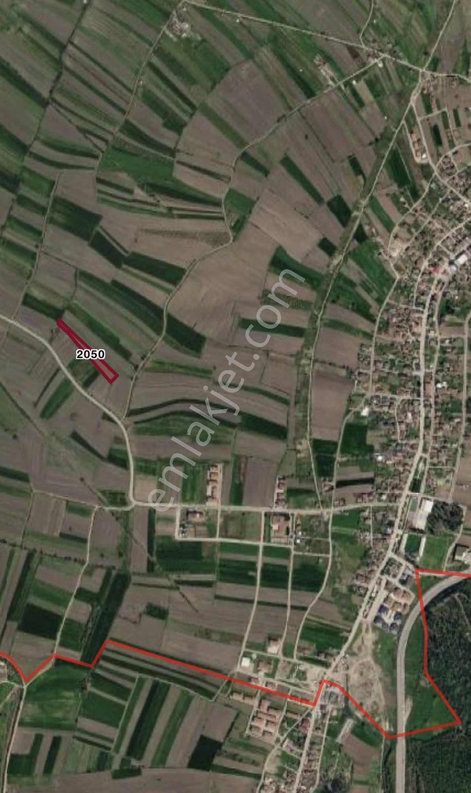 Söğütlü Merkeze Yakın, Asfalt Yola 1 Parsel Mesafede Tarla — fotoğraf 3