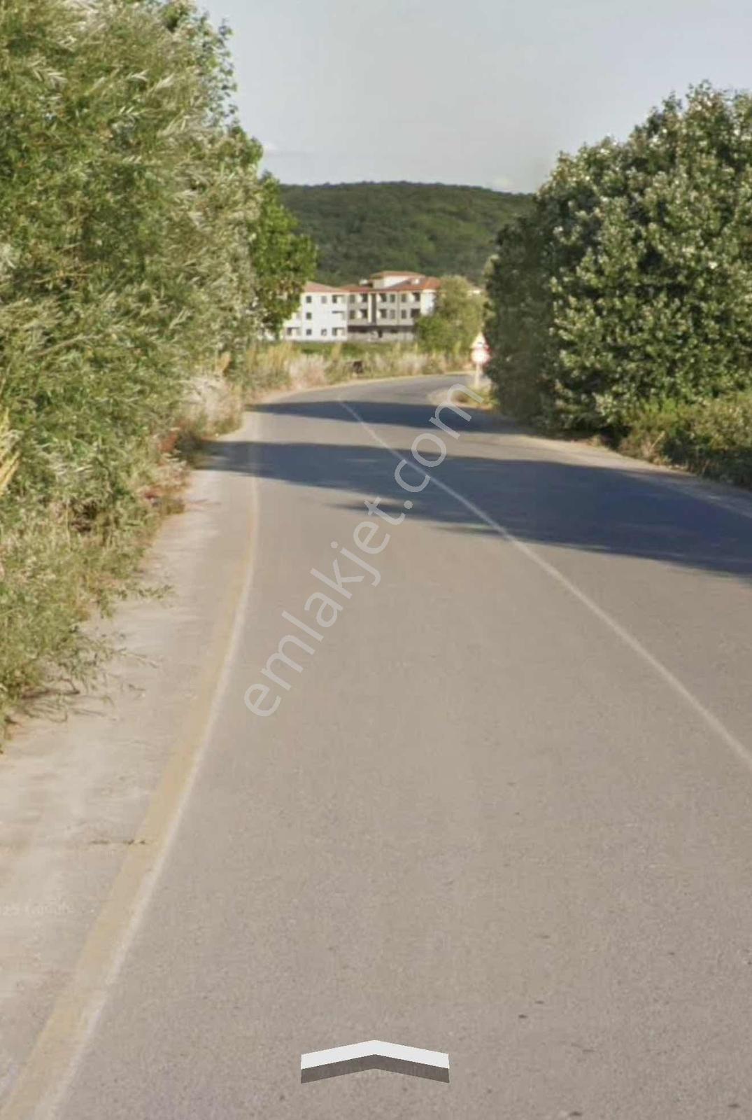 Söğütlü Merkeze Yakın, Asfalt Yola 1 Parsel Mesafede Tarla — fotoğraf 4