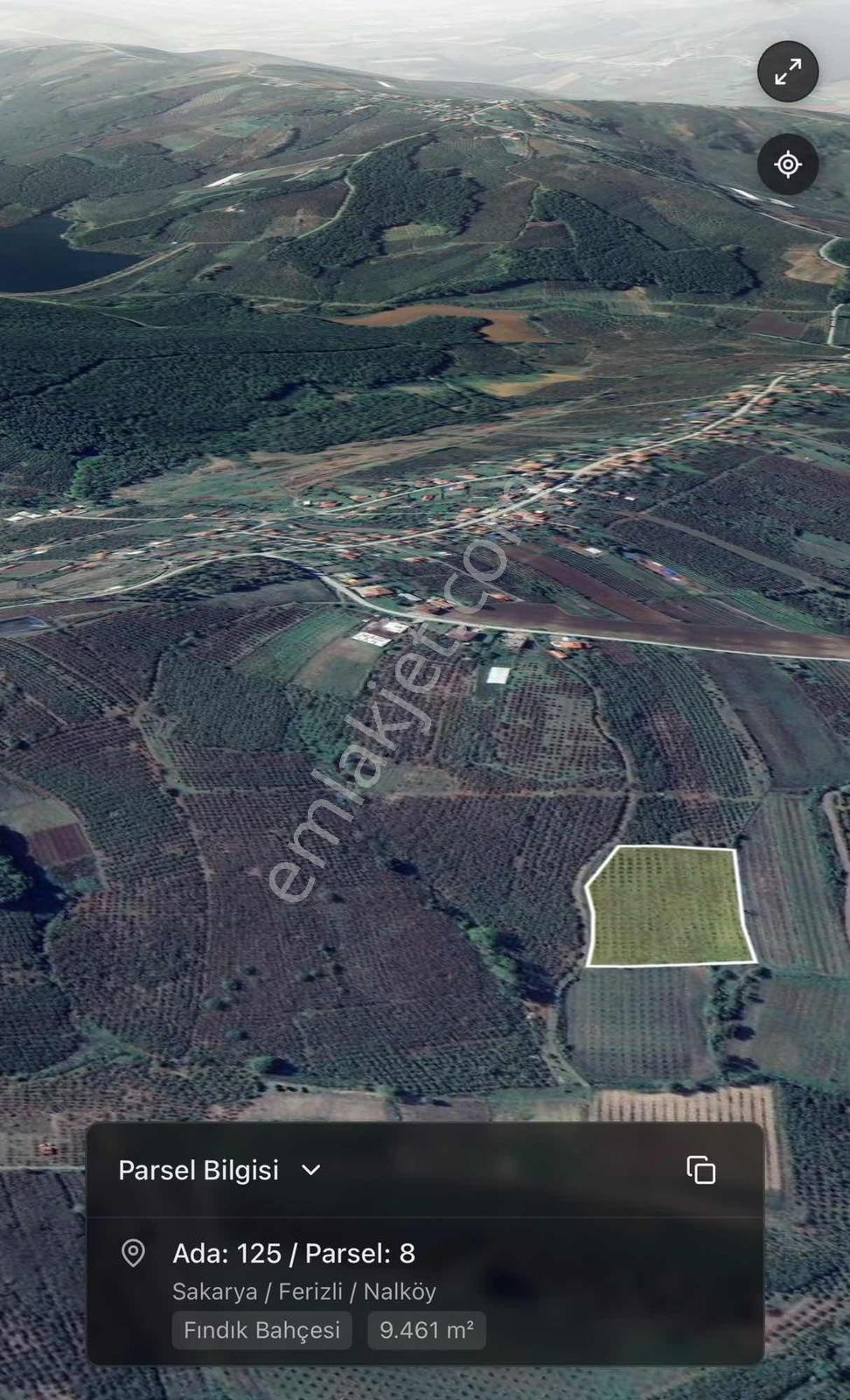 Ferizli Nalköyde Satılık Fındık Tarlası — fotoğraf 11