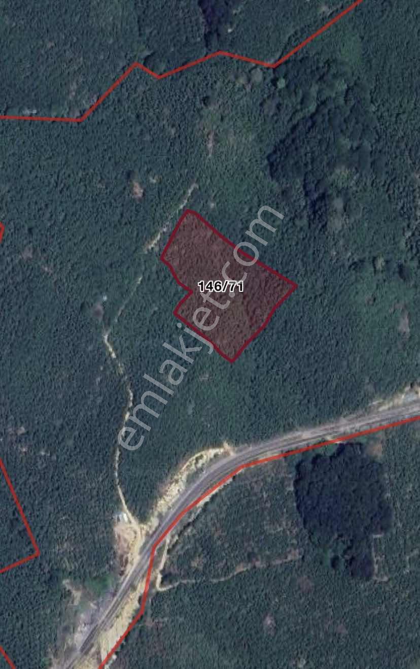 Kocaali Kozluk'ta Satılık 7.989 M² Verimli Fındık Bahçesi