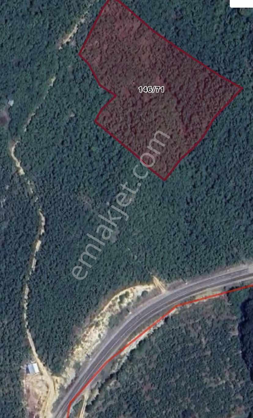 Kocaali Kozluk'ta Satılık 7.989 M² Verimli Fındık Bahçesi — fotoğraf 2