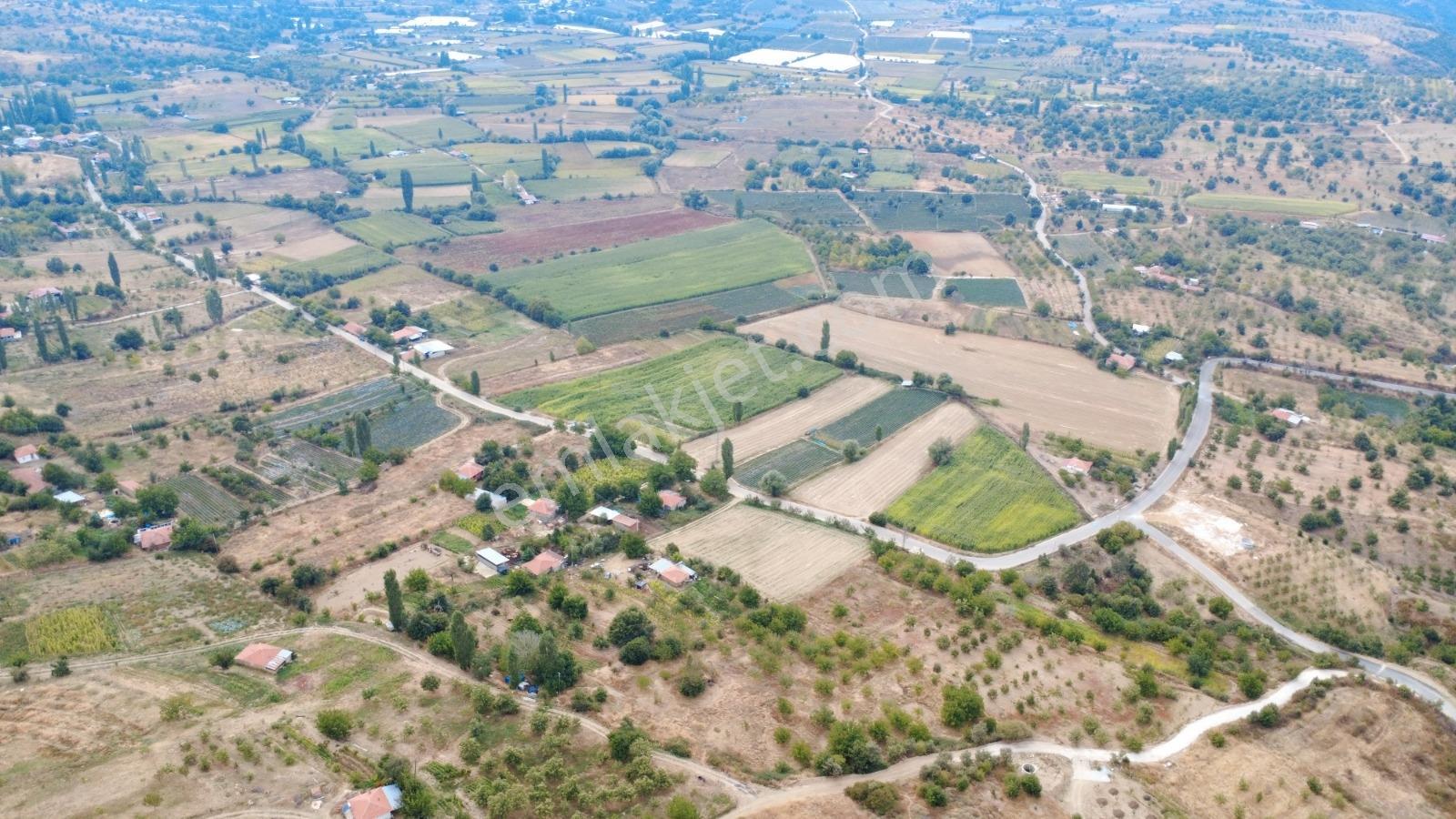 Remax Pin'de İzmir Beydağ Halıköyde Yol Kenarında Satılık Arsa — fotoğraf 5
