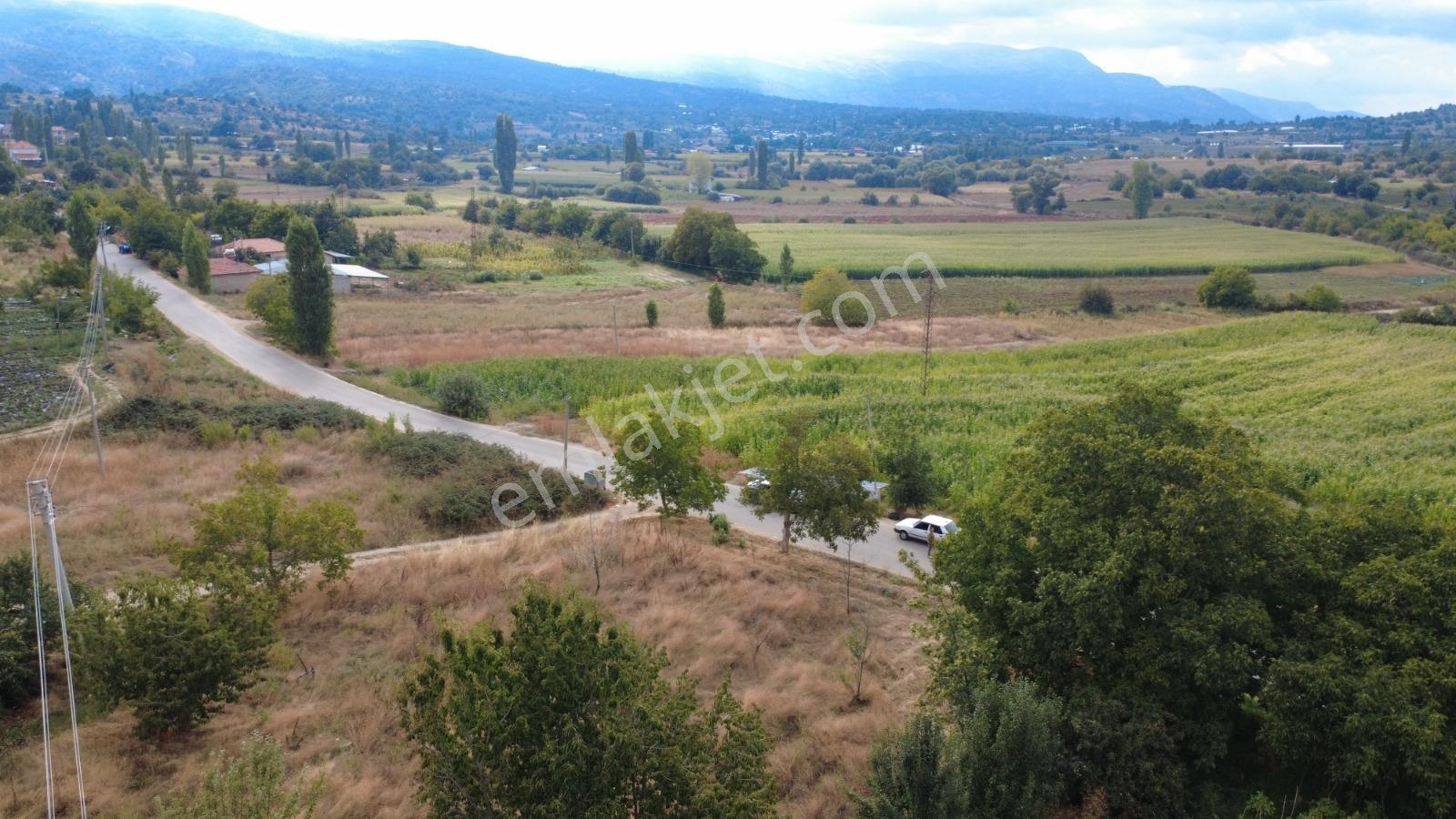 Remax Pin'de İzmir Beydağ Halıköyde Yol Kenarında Satılık Arsa — fotoğraf 13