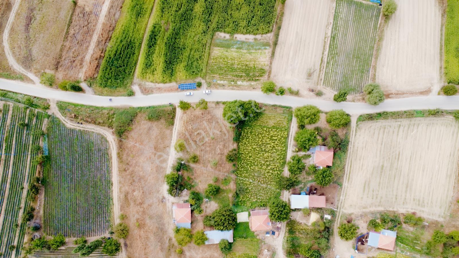 Remax Pin'de İzmir Beydağ Halıköyde Yol Kenarında Satılık Arsa — fotoğraf 19