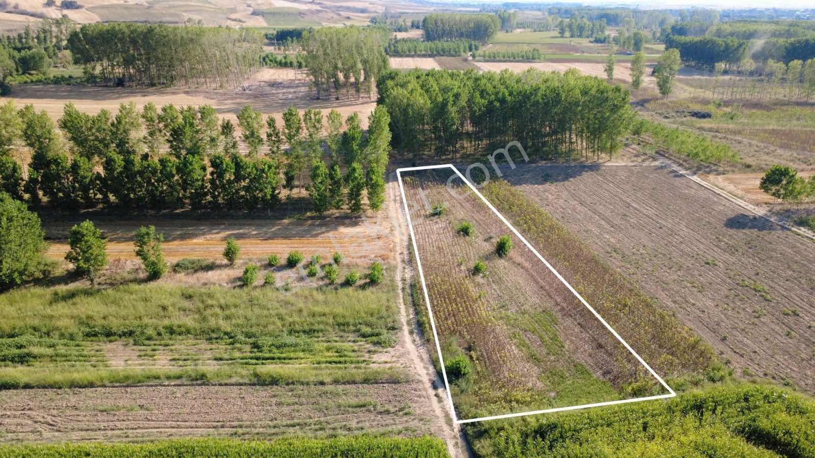 **havsa Yolageldi Köyü Satılık 1.936 M2 Fırsat**