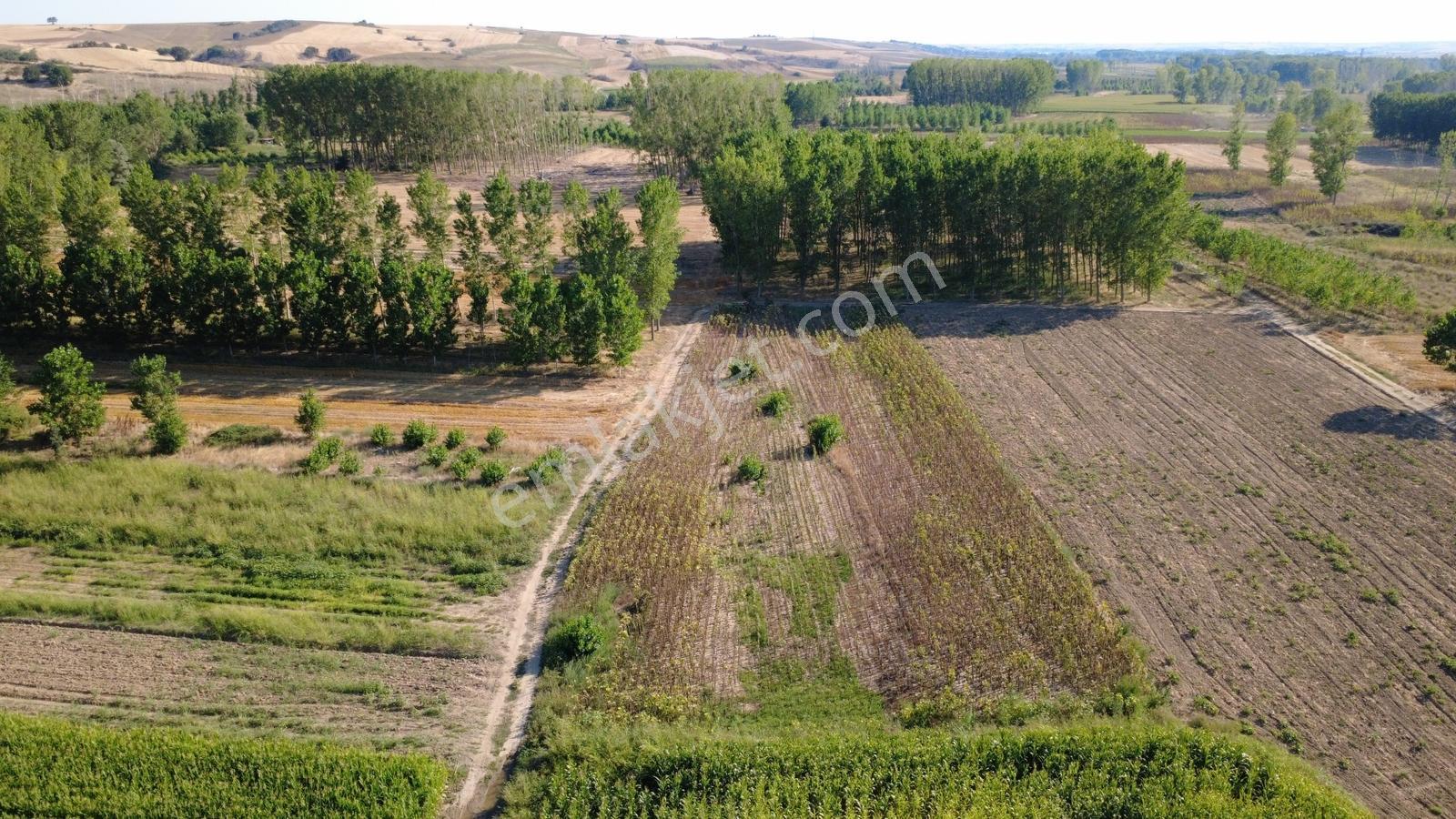 **havsa Yolageldi Köyü Satılık 1.936 M2 Fırsat** — fotoğraf 3
