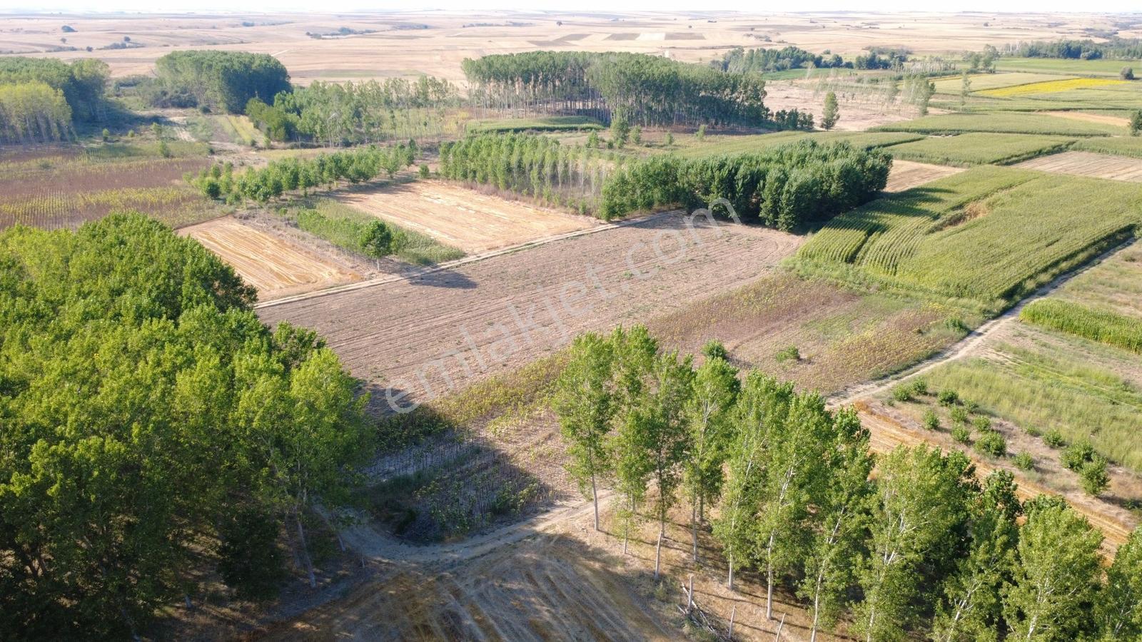 **havsa Yolageldi Köyü Satılık 1.936 M2 Fırsat** — fotoğraf 4