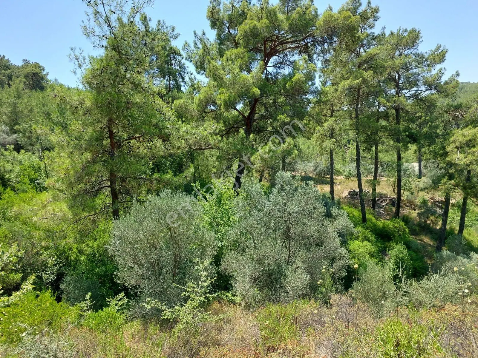Gökçeovacık'ta Satılık Ana Yola Sıfır Müstakil 812m2 Arazi — fotoğraf 2