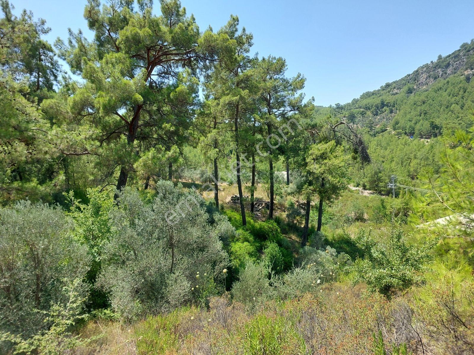 Gökçeovacık'ta Satılık Ana Yola Sıfır Müstakil 812m2 Arazi — fotoğraf 17