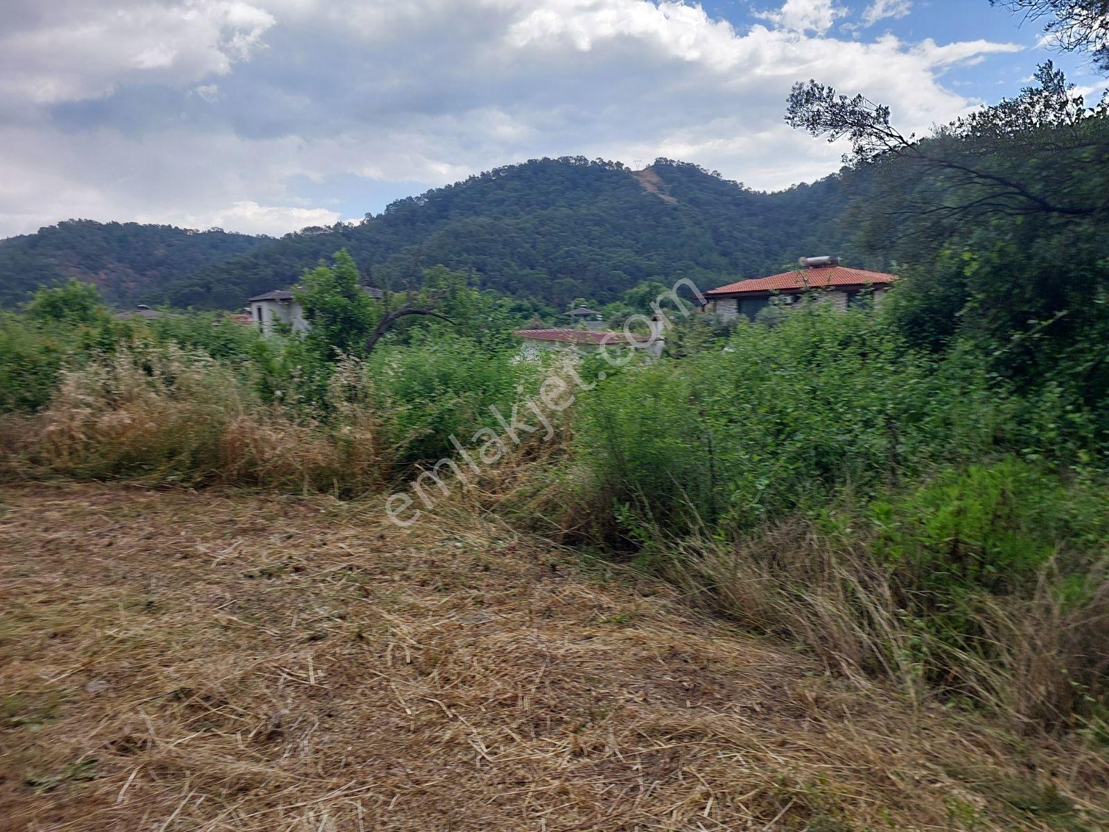 Fethiye İnlice Mh Merkezde Satılık 710m2 Zeytinlik 2b Arazi — fotoğraf 2