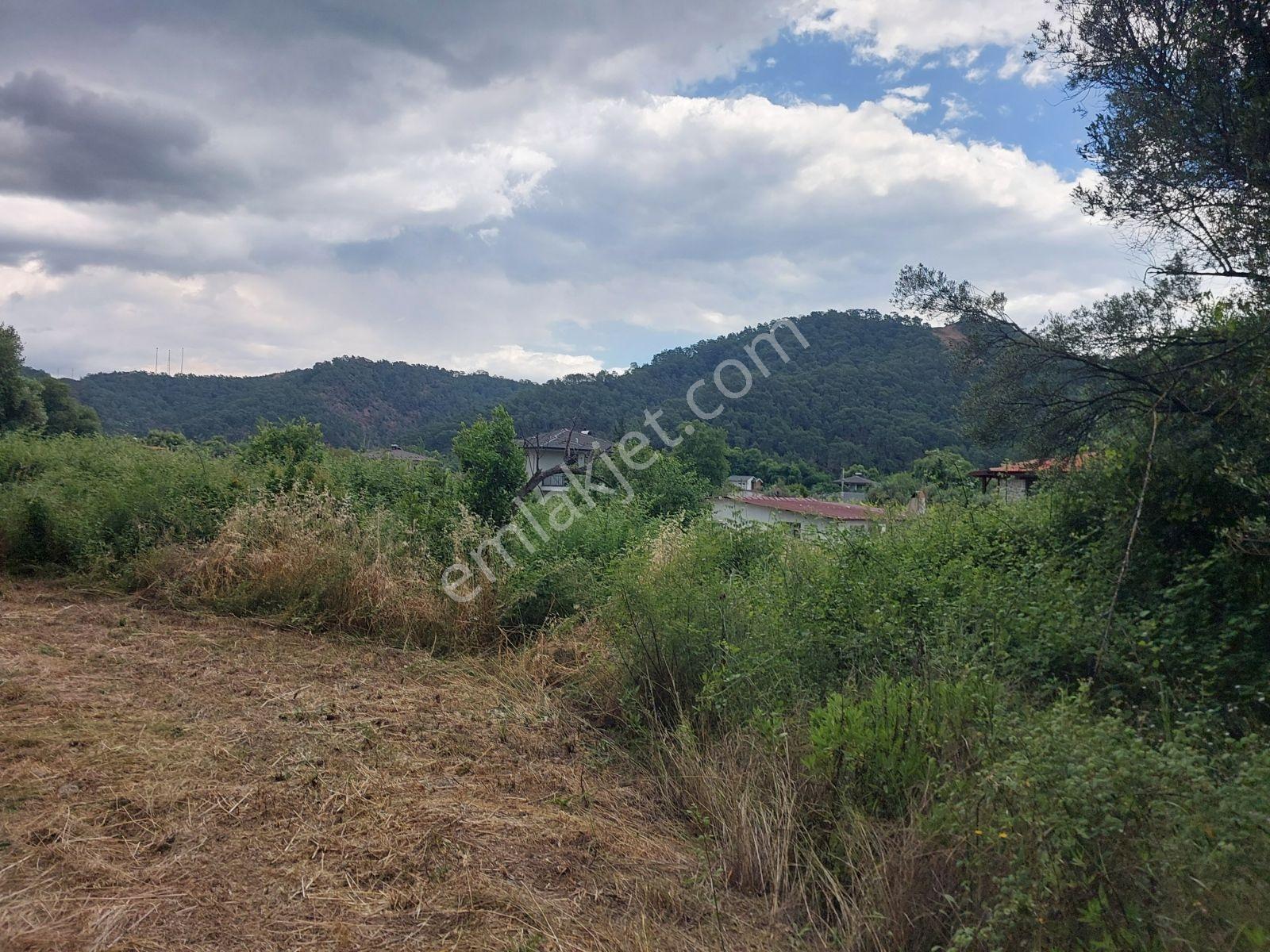 Fethiye İnlice Mh Merkezde Satılık 710m2 Zeytinlik 2b Arazi — fotoğraf 3