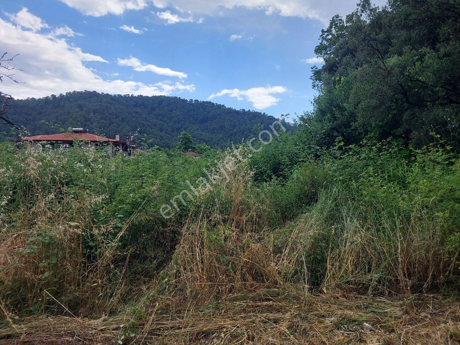 Fethiye İnlice Mh Merkezde Satılık 710m2 Zeytinlik 2b Arazi — fotoğraf 7
