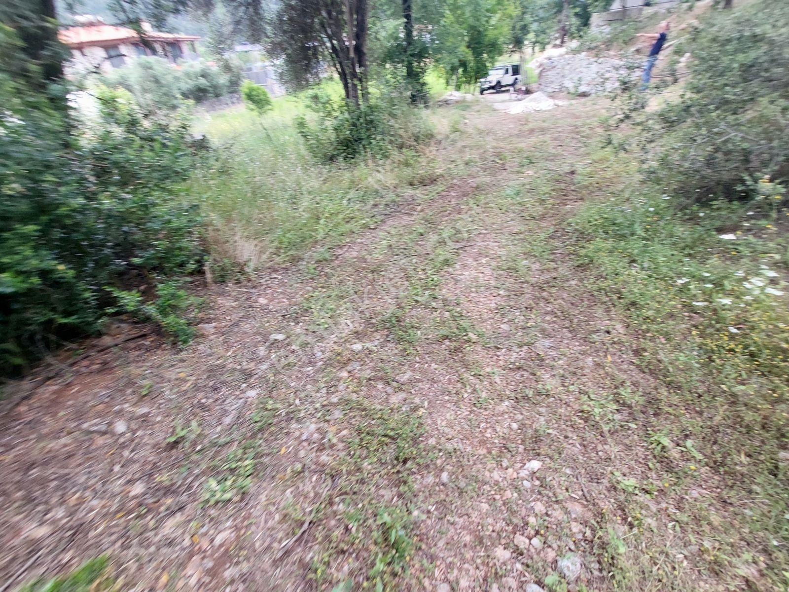 Fethiye İnlice Mh Merkezde Satılık 710m2 Zeytinlik 2b Arazi — fotoğraf 17