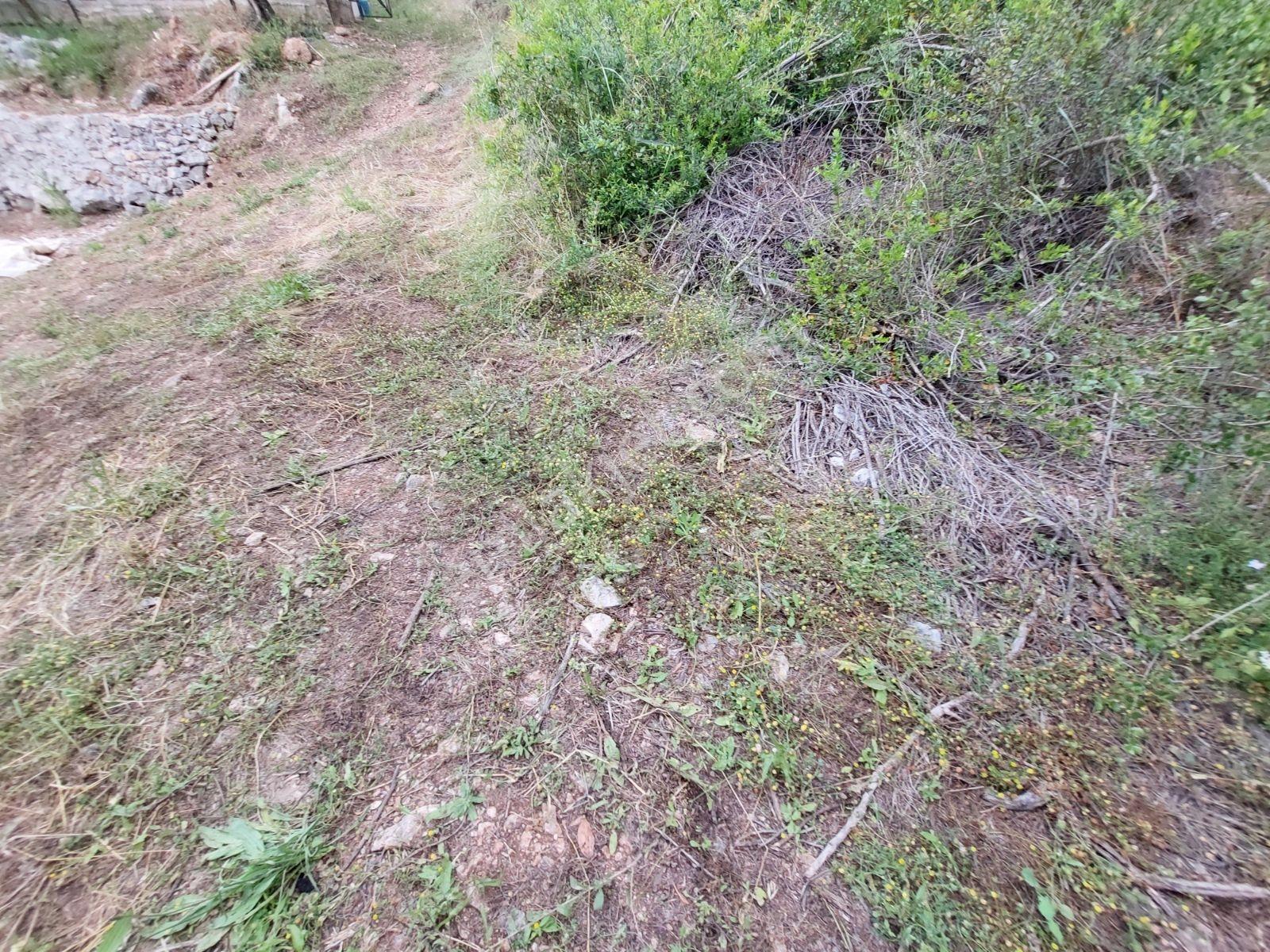 Fethiye İnlice Mh Merkezde Satılık 710m2 Zeytinlik 2b Arazi — fotoğraf 18