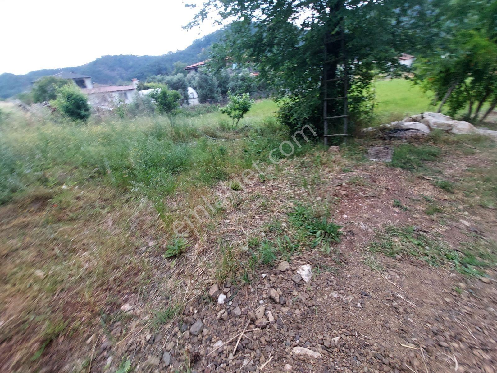 Fethiye İnlice Mh Merkezde Satılık 710m2 Zeytinlik 2b Arazi — fotoğraf 25