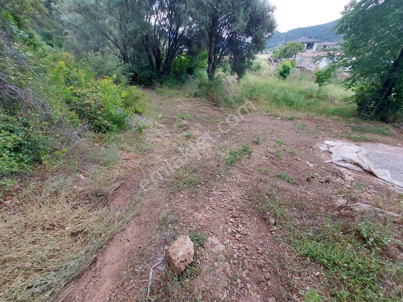 Fethiye İnlice Mh Merkezde Satılık 710m2 Zeytinlik 2b Arazi — fotoğraf 28