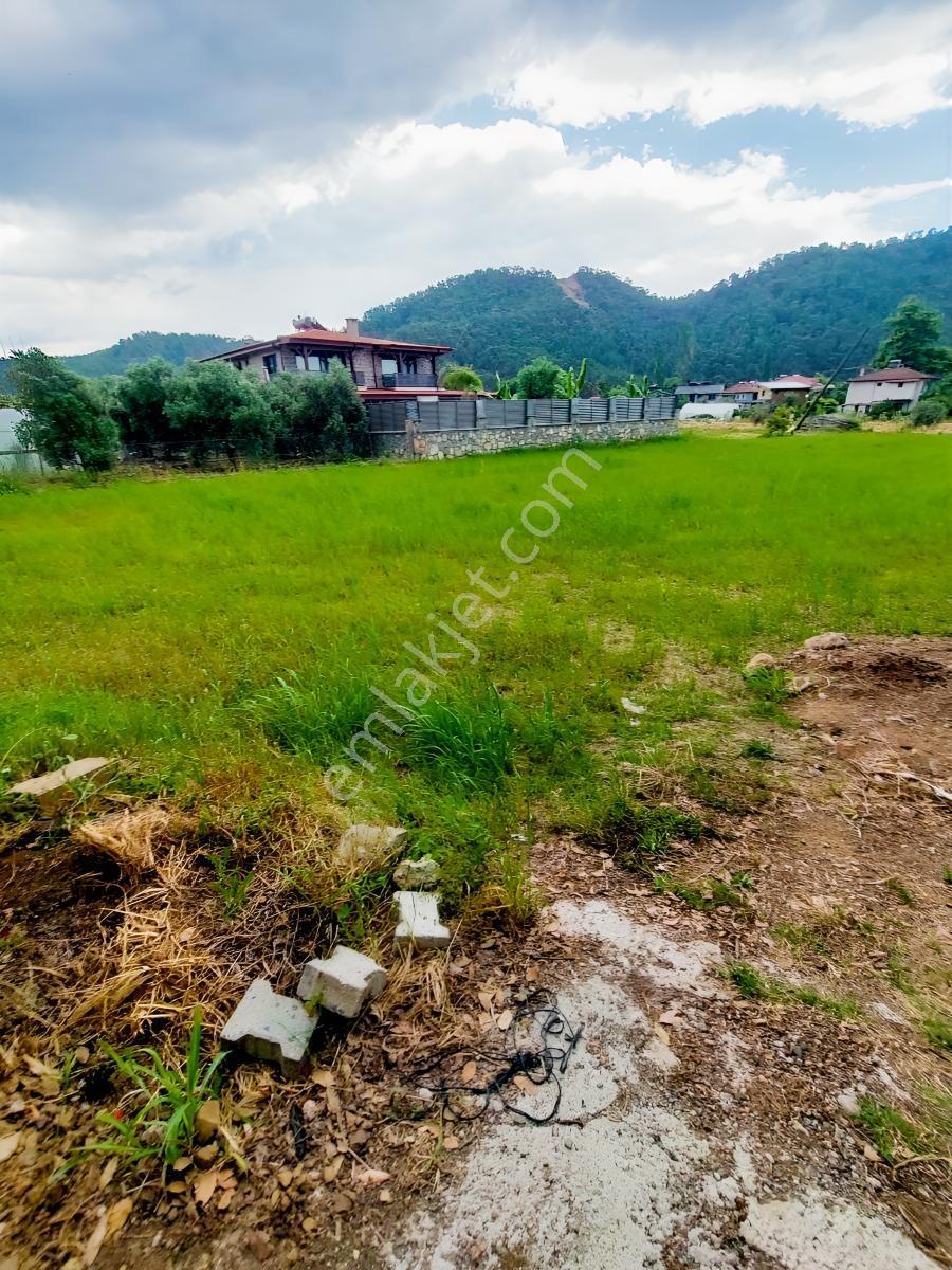 Fethiye İnlice Mh Merkezde Satılık 710m2 Zeytinlik 2b Arazi — fotoğraf 30