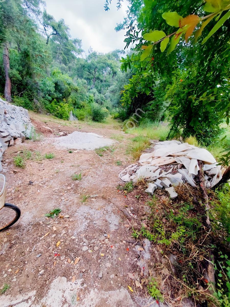 Fethiye İnlice Mh Merkezde Satılık 710m2 Zeytinlik 2b Arazi — fotoğraf 31