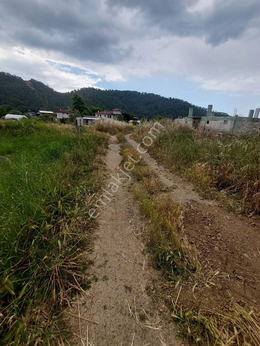 Fethiye İnlice Mh Merkezde Satılık 710m2 Zeytinlik 2b Arazi — fotoğraf 34
