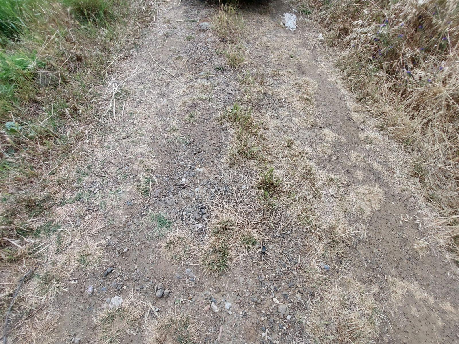 Fethiye İnlice Mh Merkezde Satılık 710m2 Zeytinlik 2b Arazi — fotoğraf 35