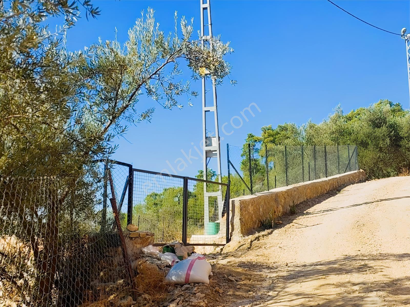 Fethiye İnlice Mh Satılık Müstakil 605 M2 İki Parsel — fotoğraf 2
