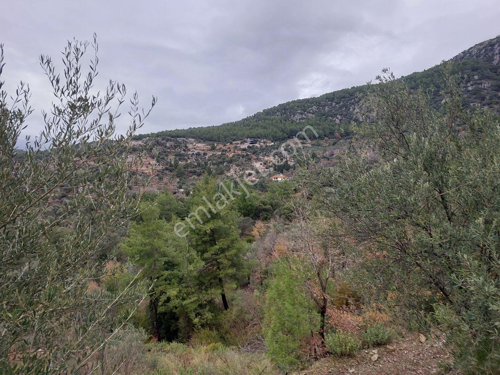 Fethiye Gökçeovacık Mahallesinde Müstakilı Satılık 1240m2 Arazi — fotoğraf 3