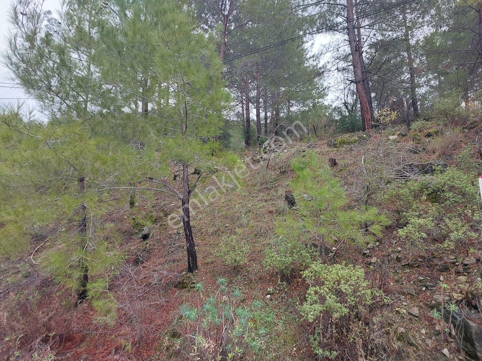 Fethiye Gökçeovacık Mahallesinde Müstakilı Satılık 1240m2 Arazi — fotoğraf 4
