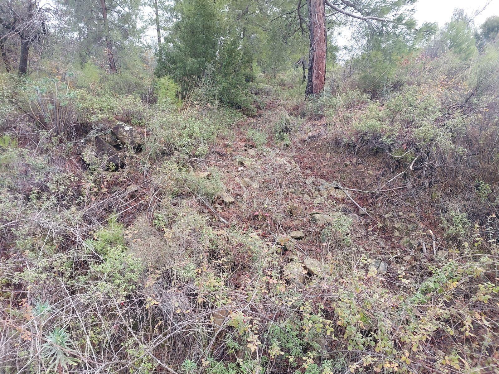 Fethiye Gökçeovacık Mahallesinde Müstakilı Satılık 1240m2 Arazi — fotoğraf 14