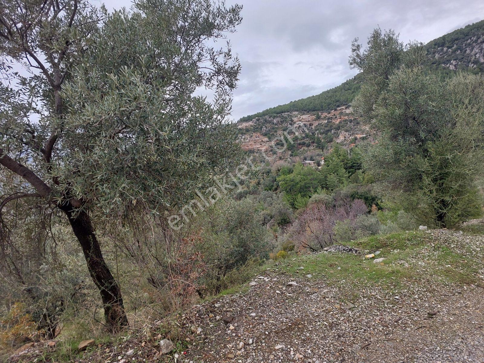 Fethiye Gökçeovacık Mahallesinde Müstakilı Satılık 1240m2 Arazi — fotoğraf 19