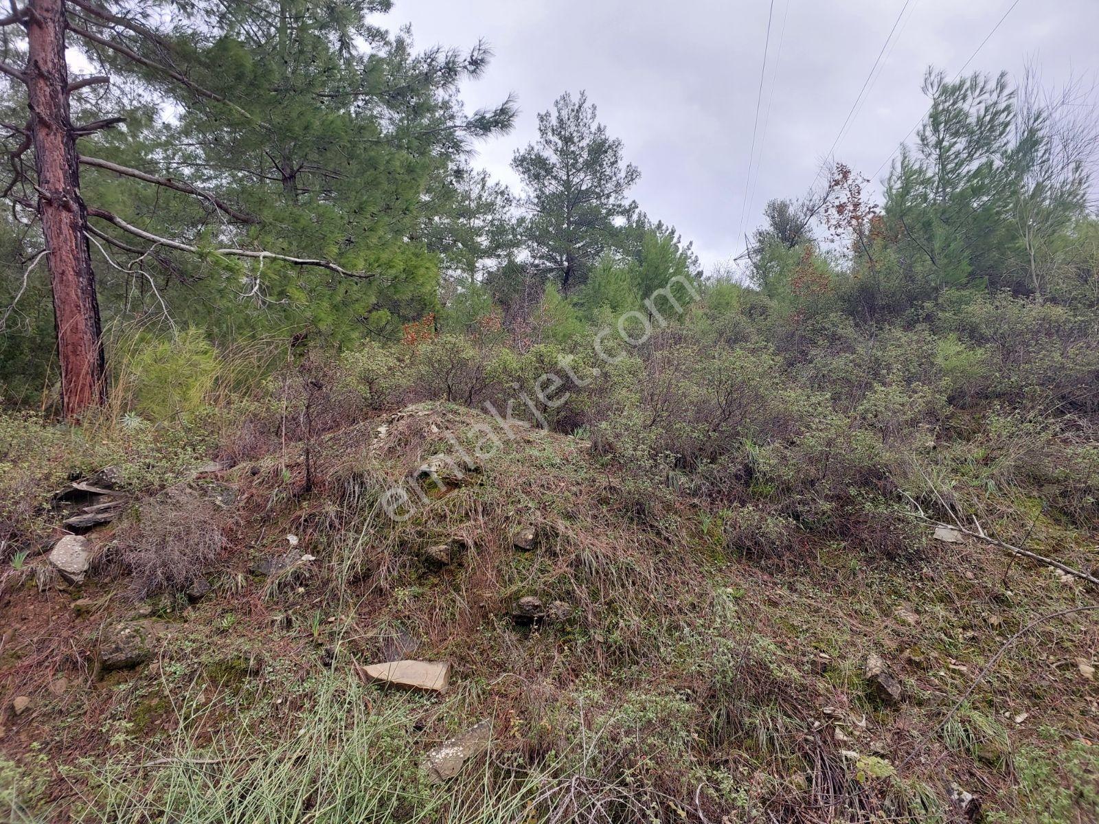 Fethiye Gökçeovacık Mahallesinde Müstakilı Satılık 1240m2 Arazi — fotoğraf 30
