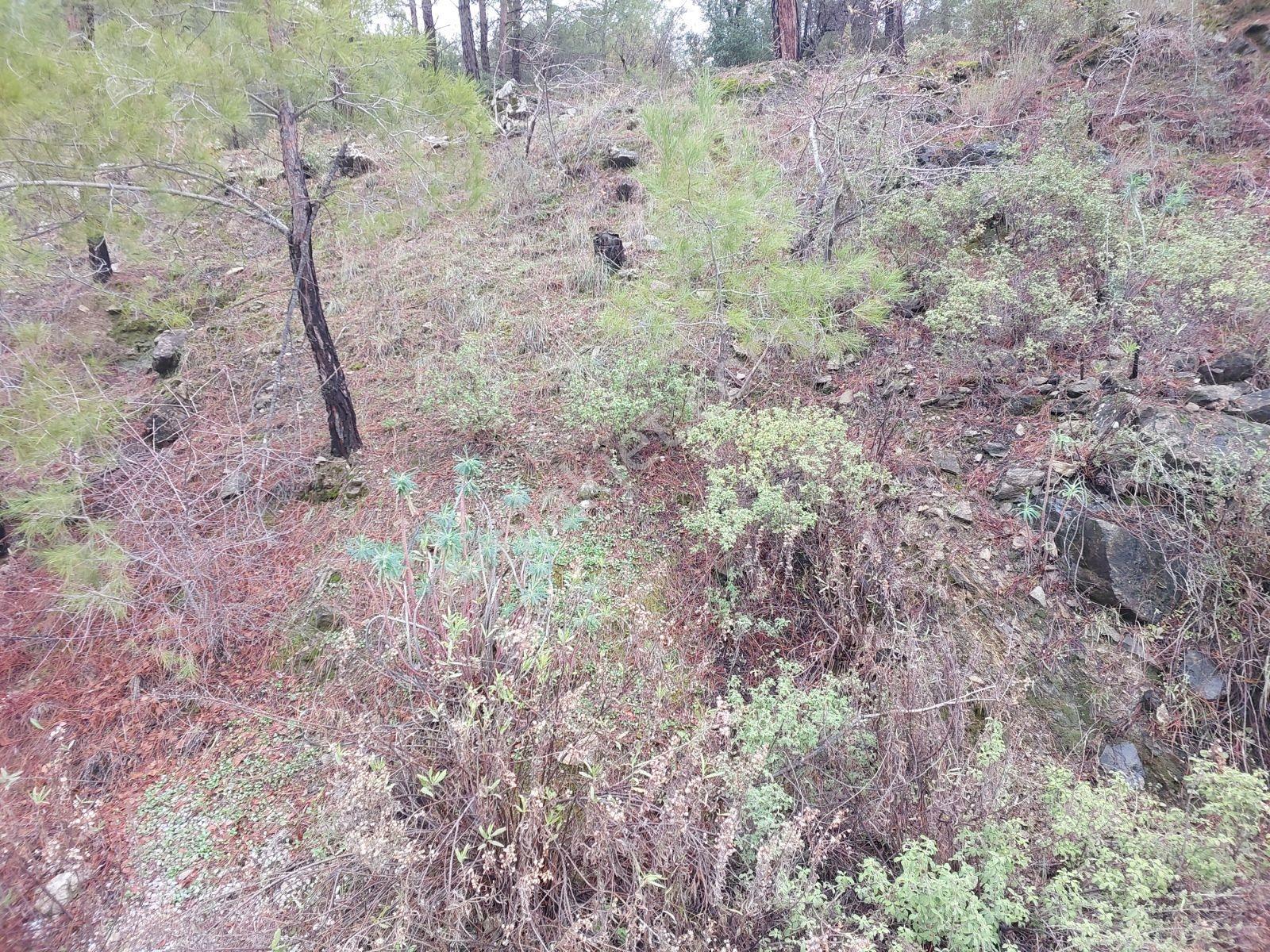Fethiye Gökçeovacık Mahallesinde Müstakilı Satılık 1240m2 Arazi — fotoğraf 32