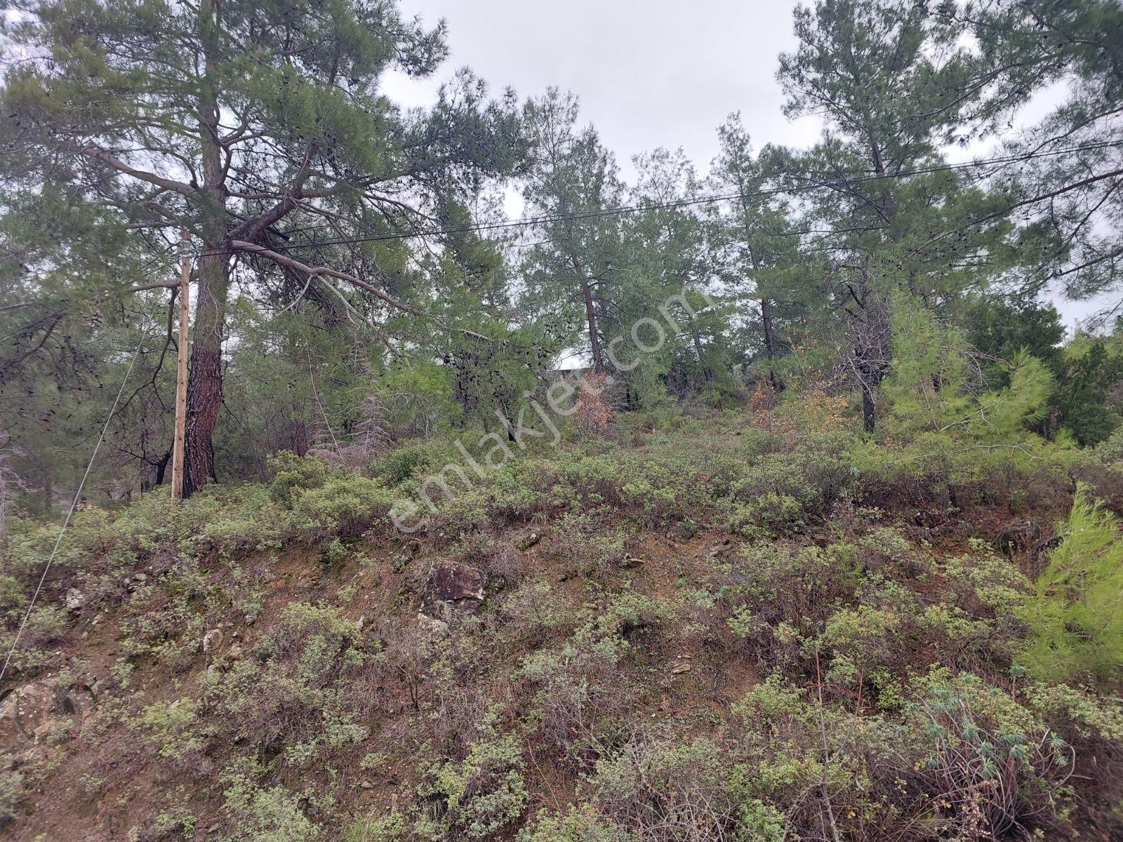 Fethiye Gökçeovacık Mahallesinde Müstakilı Satılık 1240m2 Arazi — fotoğraf 33