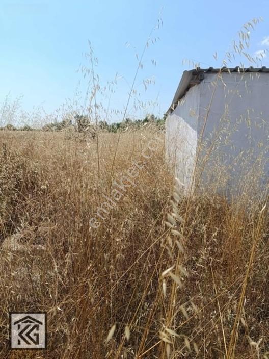 Akşehir Doğrugöz Yeni Tokilere Yakını Satılık Arsa — fotoğraf 6