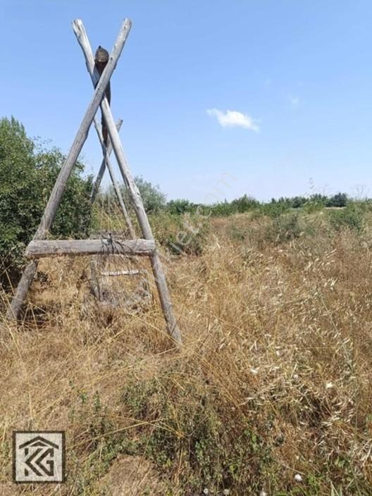 Akşehir Doğrugöz Yeni Tokilere Yakını Satılık Arsa — fotoğraf 7