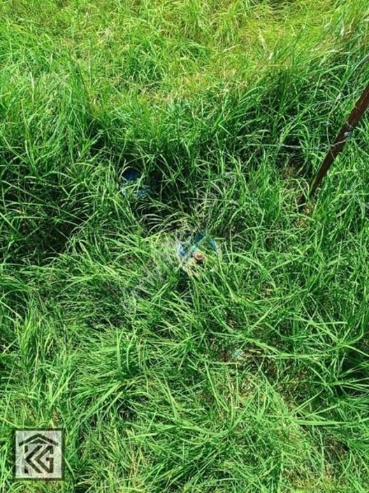 Akşehir Doğrugöz Yeni Tokilere Yakını Satılık Arsa — fotoğraf 11