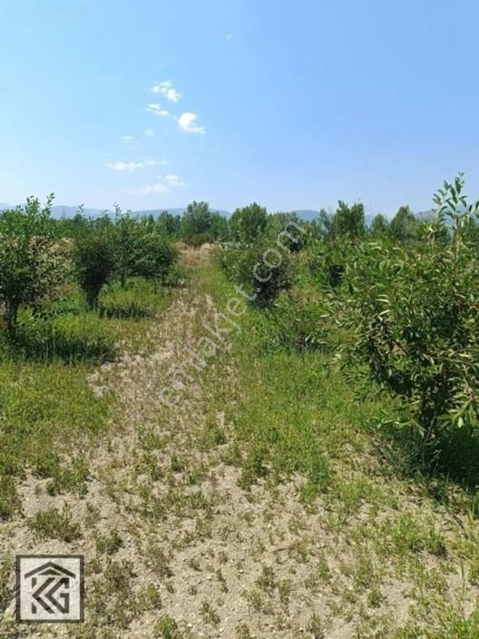 Akşehir Doğrugöz Yeni Tokilere Yakını Satılık Arsa — fotoğraf 13